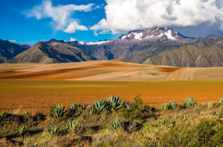 Wycieczki Boliwia – co warto zobaczyć?