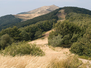 Bieszczady