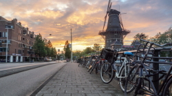 Mieszkanie socjalne w Holandii — jak się ubiegać?